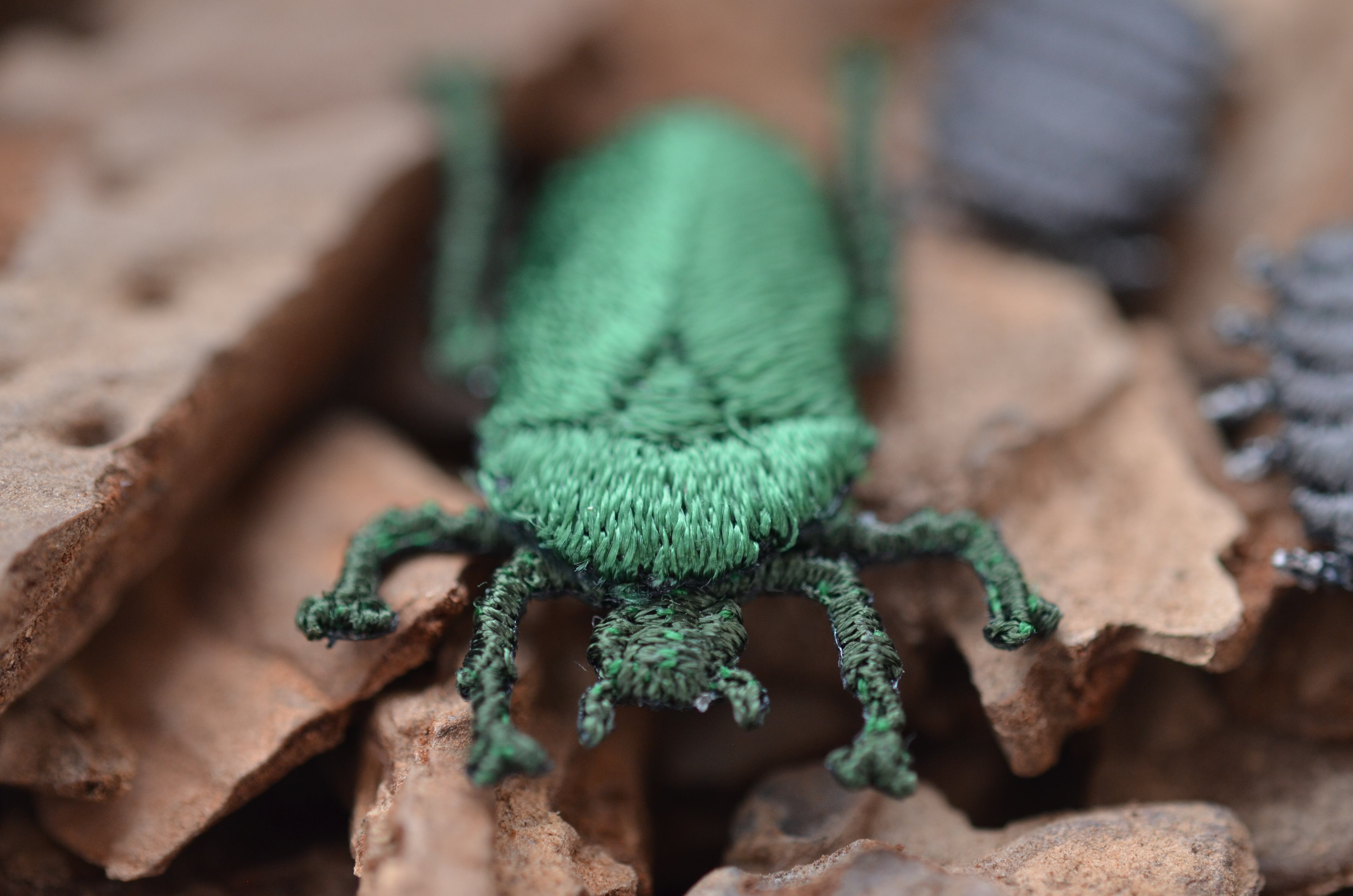 カナブン ストラップ・ブローチ