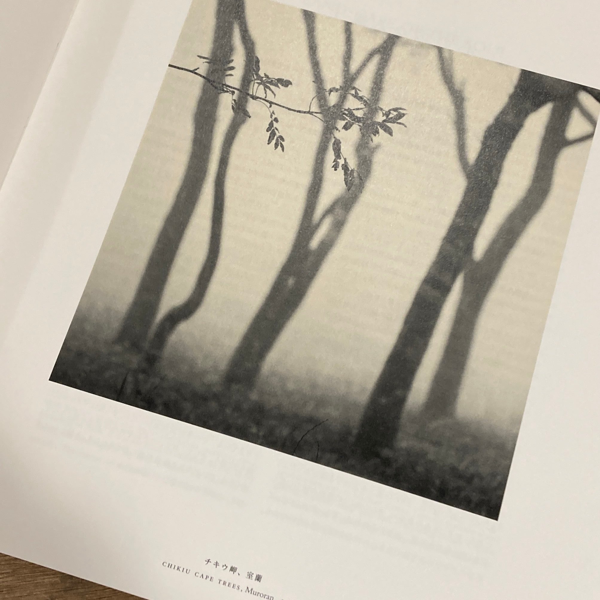 HOKKAIDO: Michael Kenna / 北海道: マイケル・ケンナ [signed/サイン 