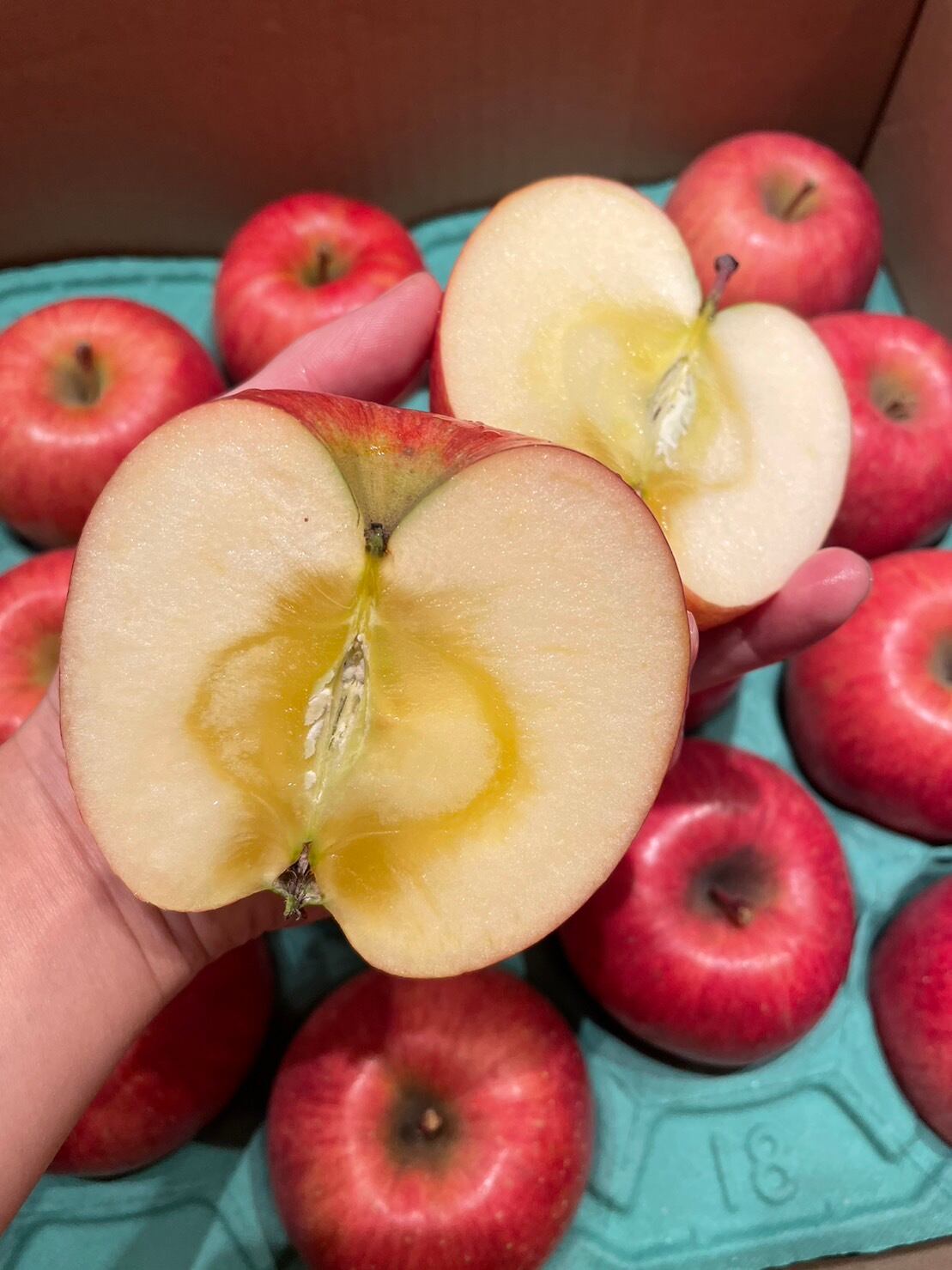 【12月中旬入荷予定】青森県産の無農薬リンゴ・品種『ふじ』無肥料・無農薬の乗田農園リンゴ3個入り