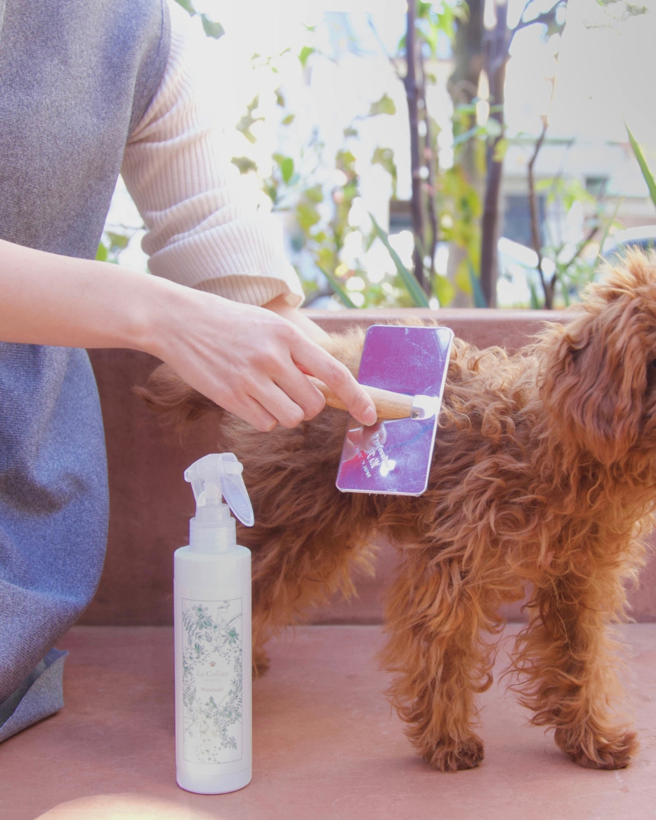 ワタガシのようなサロン仕上がりを実現ブラッシングスプレー