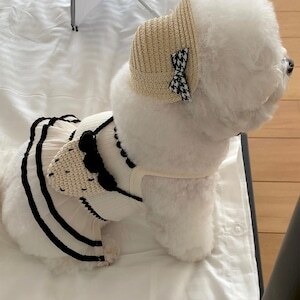 即納【seeni】Tan ops