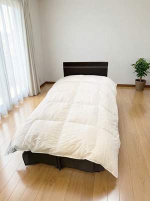 ホスタ【ダブル】【ホワイト】【ベージュ】【DP330】