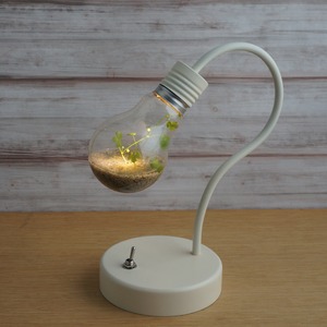 bulb terrarium mini [white]