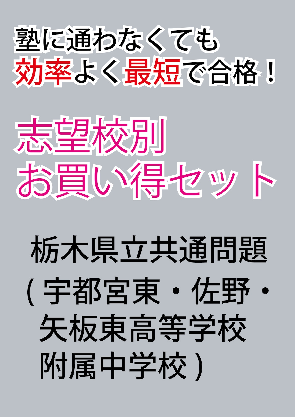 栃木県立共通問題版「塾に通わなくても効率よく最短で合格 志望校別お買い得セット」 ebeb4cd56f4f23777842a3671f80fc