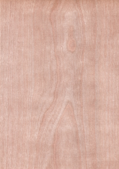 天然木ツキ板シート　ホワイトバーチ　薄色系