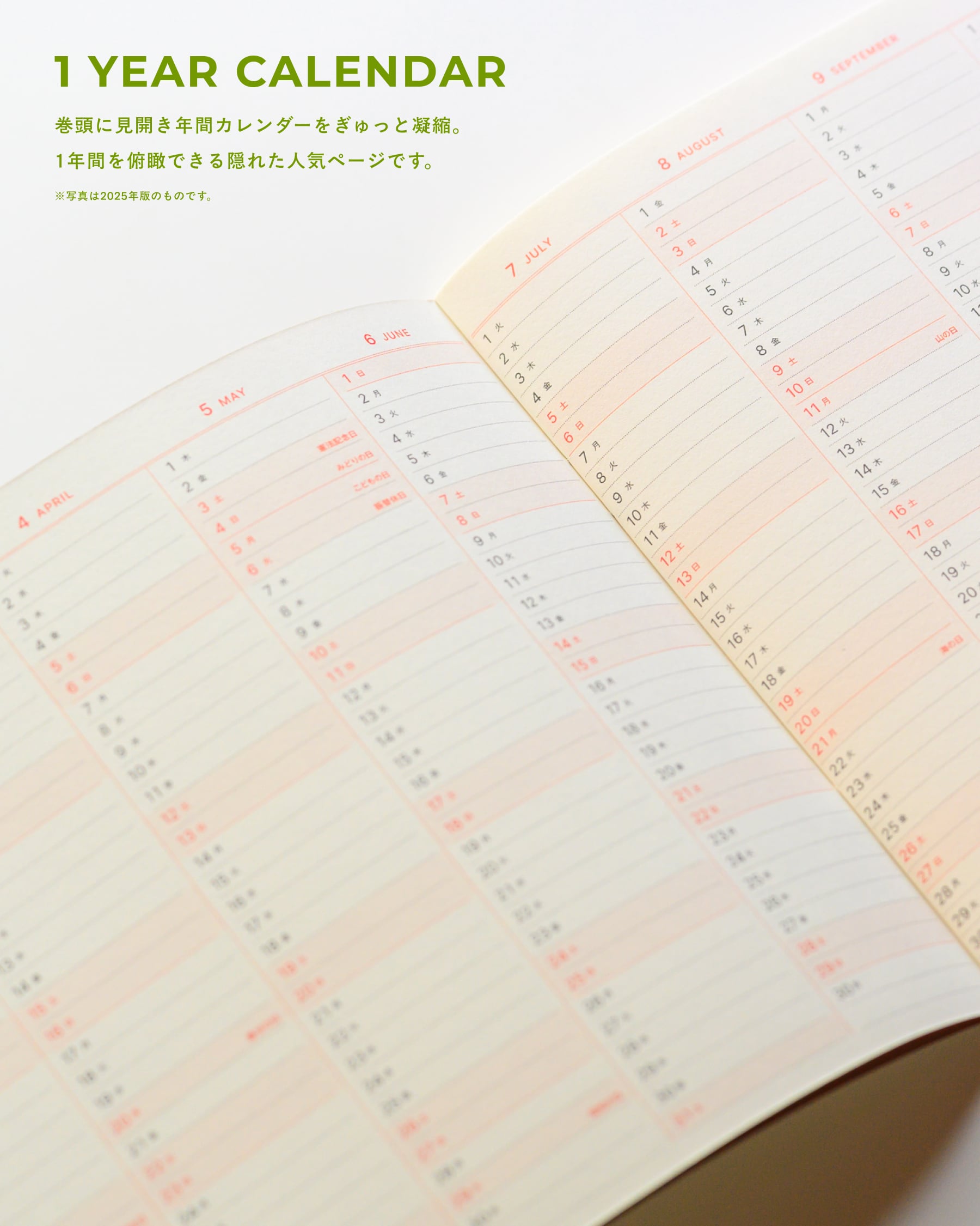 BIRD'S EYE DIARY 2026 OKAY DESIGNING オリジナル手帳 | 木琴堂