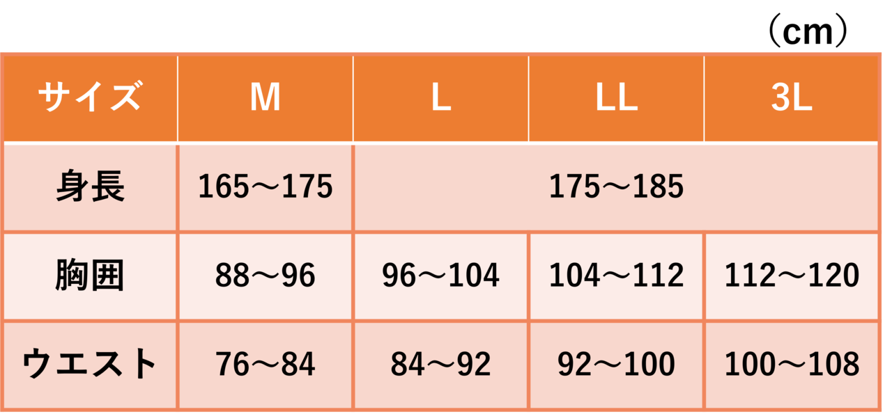 【2着セット10％OFF＋送料無料】NoPointsインナーVer.4（M/L/LL/3L)