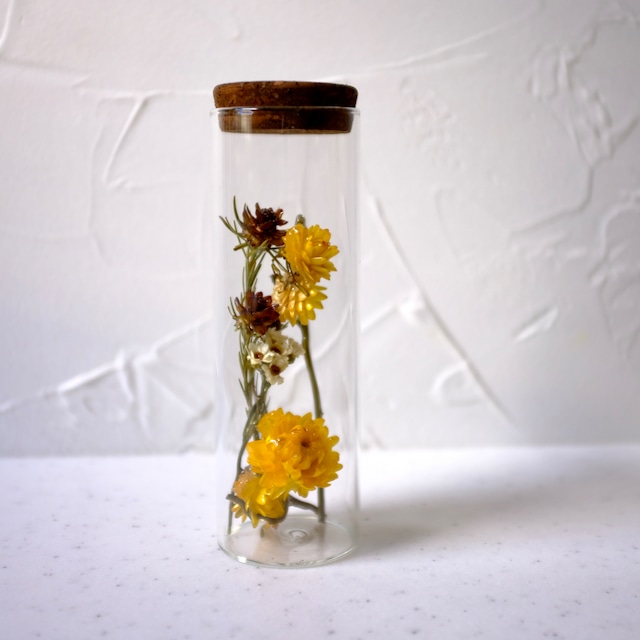 tsuyabana dried flower Cylinder　イエロー・オレンジ系