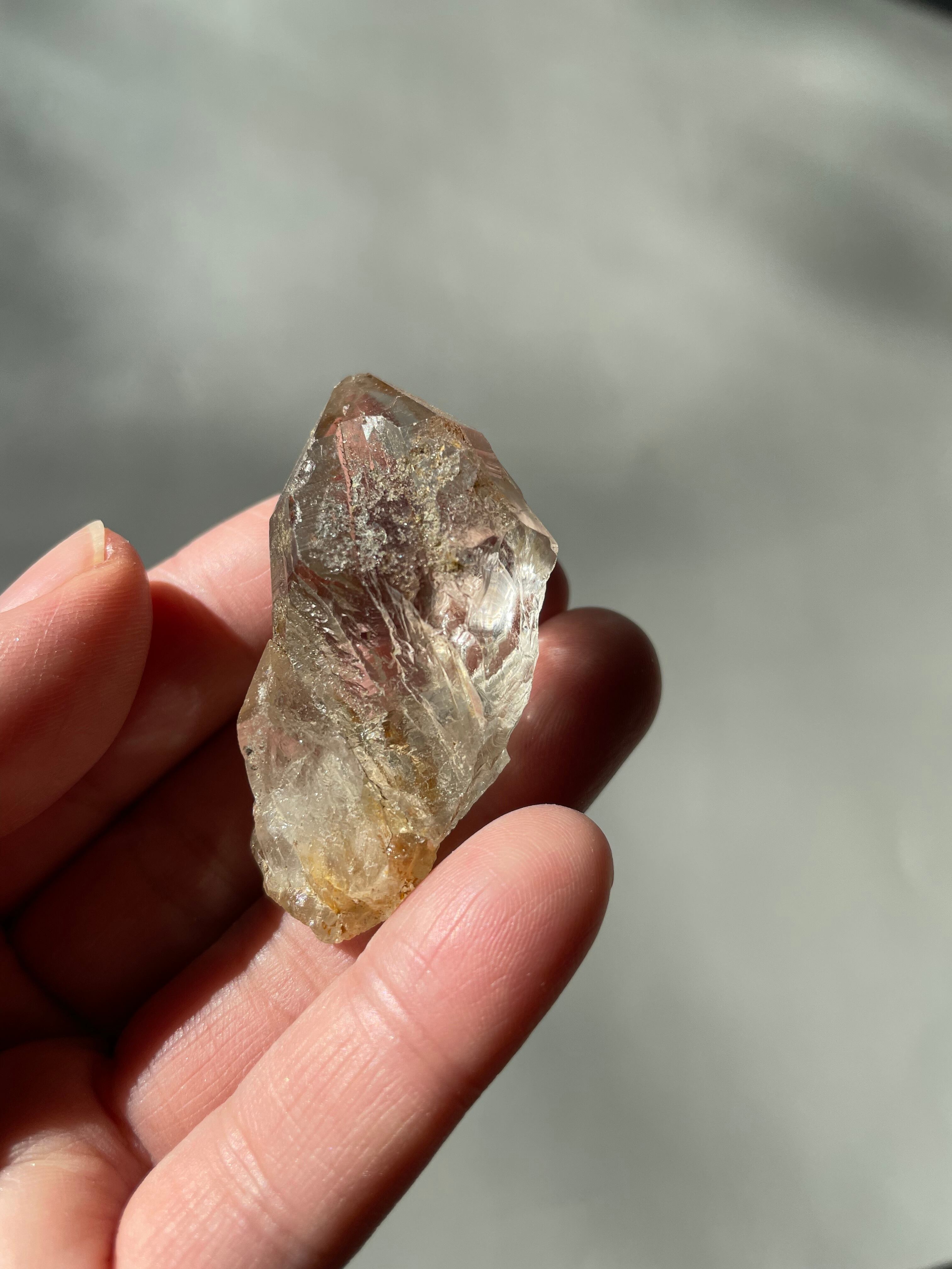 Golden Healer / ゴールデンヒーラー