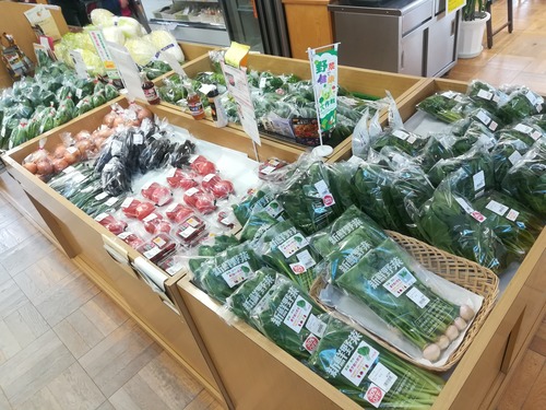 ベジタランド旬野菜セット