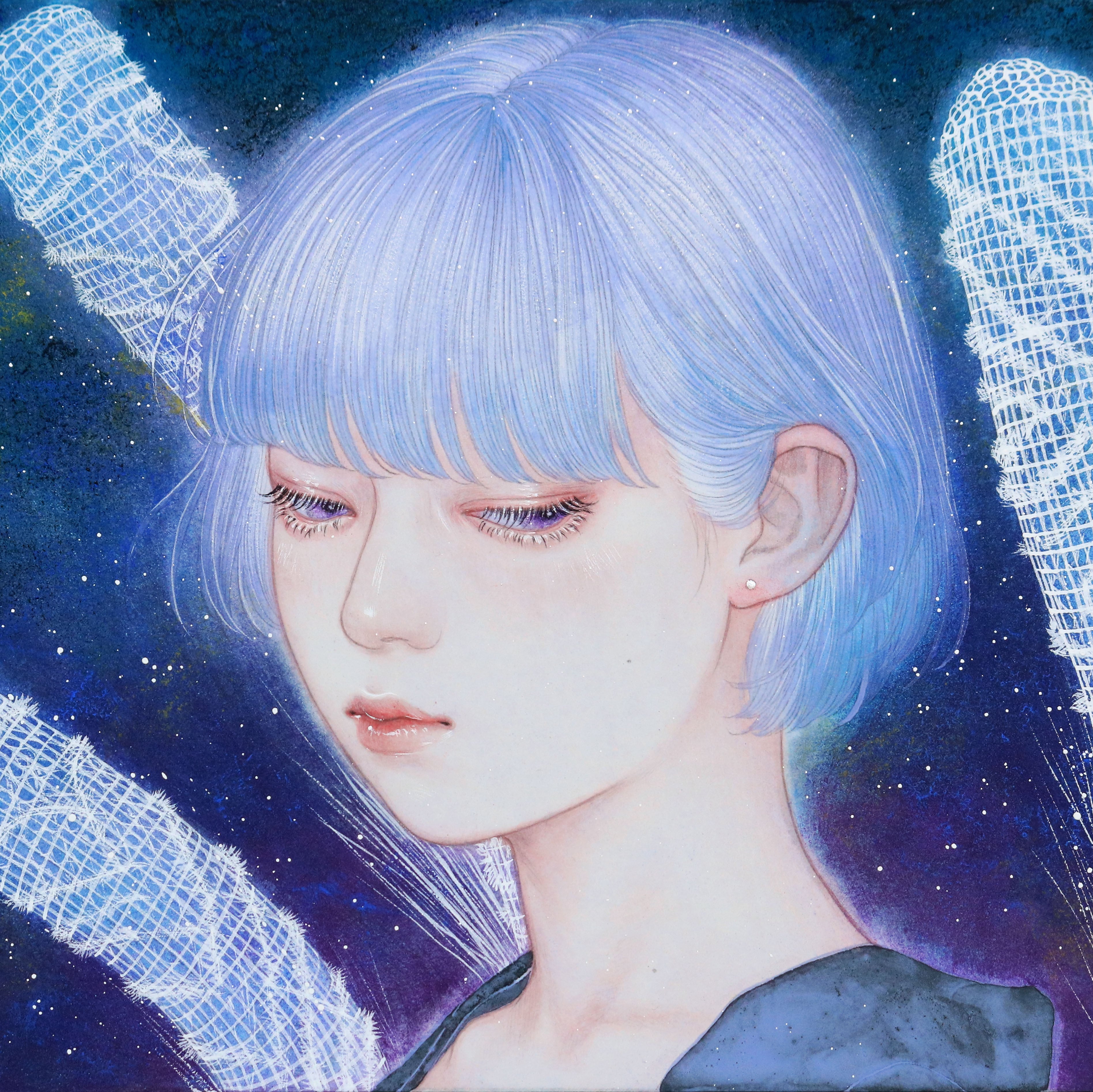 画集「paraiso」 | ransui