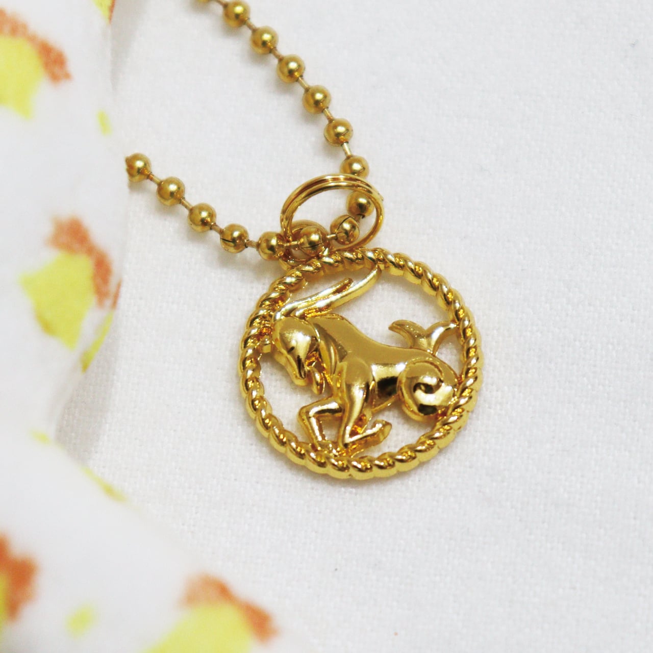 ZODIACシリーズ BUNGUBOXオリジナル 山羊座 万年筆 セーラー万年筆  