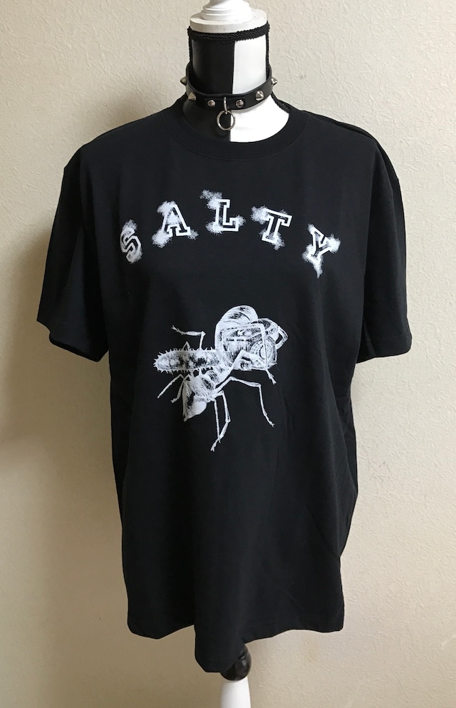 展示品「SALTY」