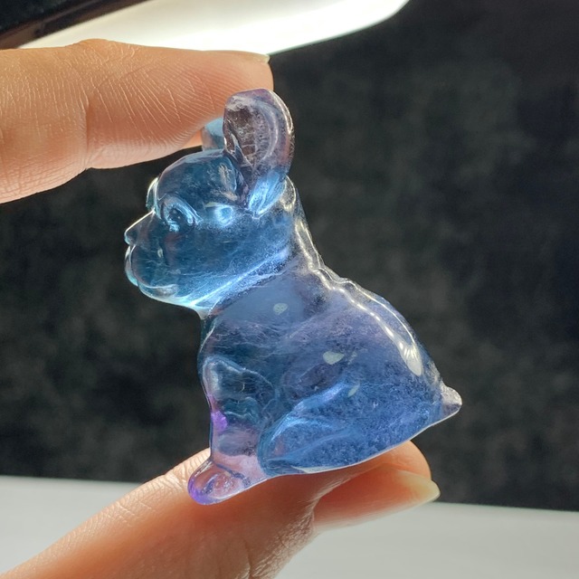 29.フローライト・フレンチブルドッグ