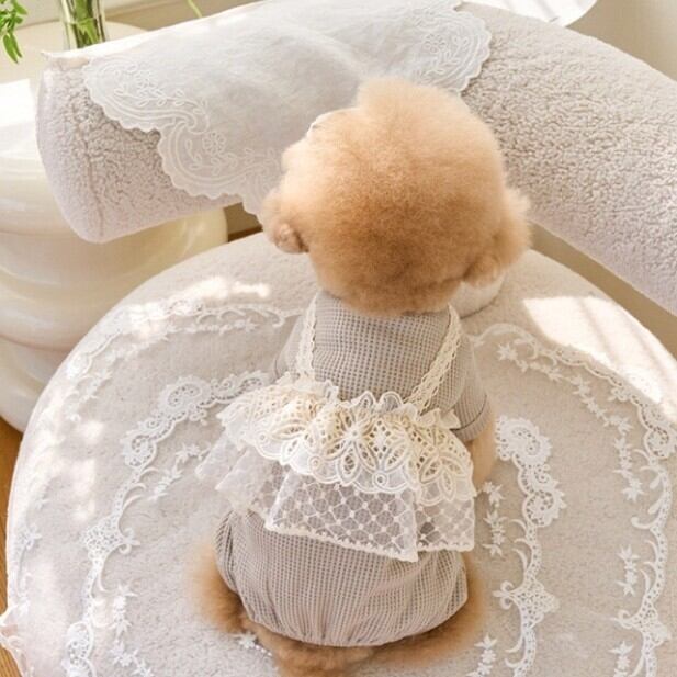 すぐにお届け】犬服 レースフリルキャミ重ね着風ロンパース トップス
