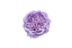 シャクヤクY-PU1薄紫（9輪入り）