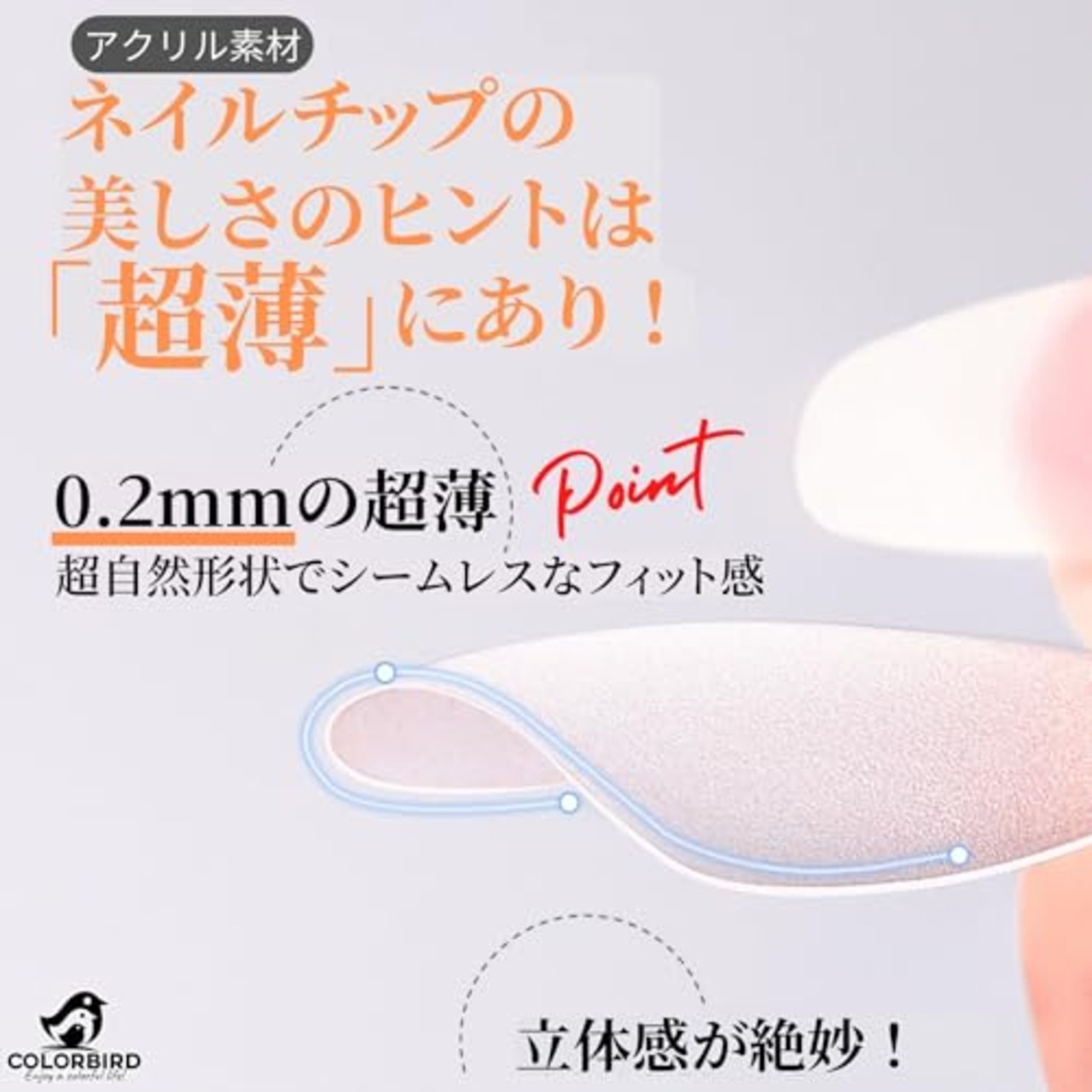 COLORBIRD ネイルチップ 超薄 ロング クリア サンディング 自然なフィット感 つけ爪 (オーバルL, 240pcs)