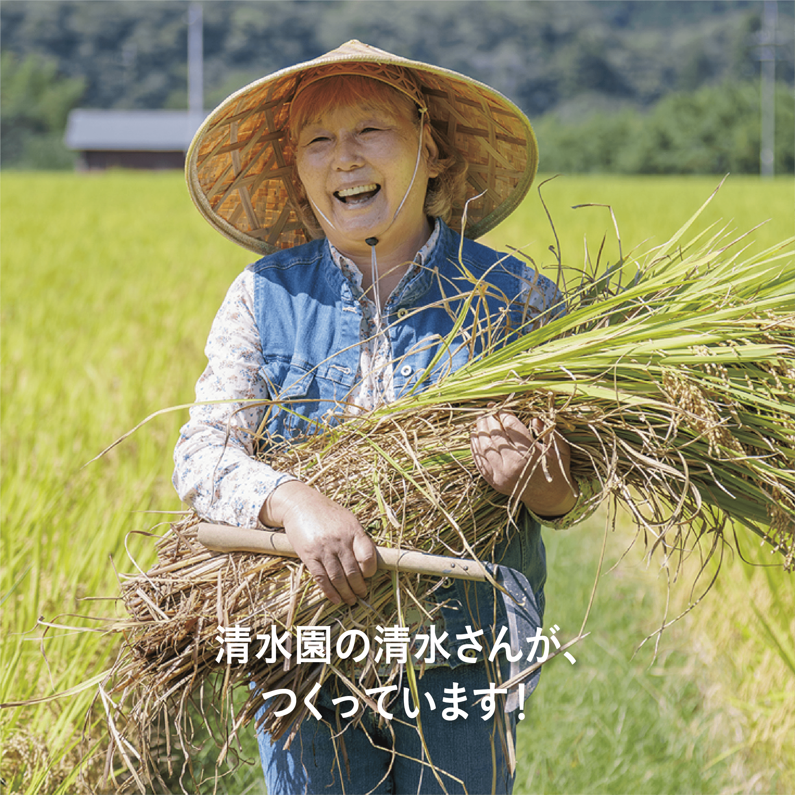 【高知】清水園さんの特別栽培米「おおのみ米」（白米・玄米）　