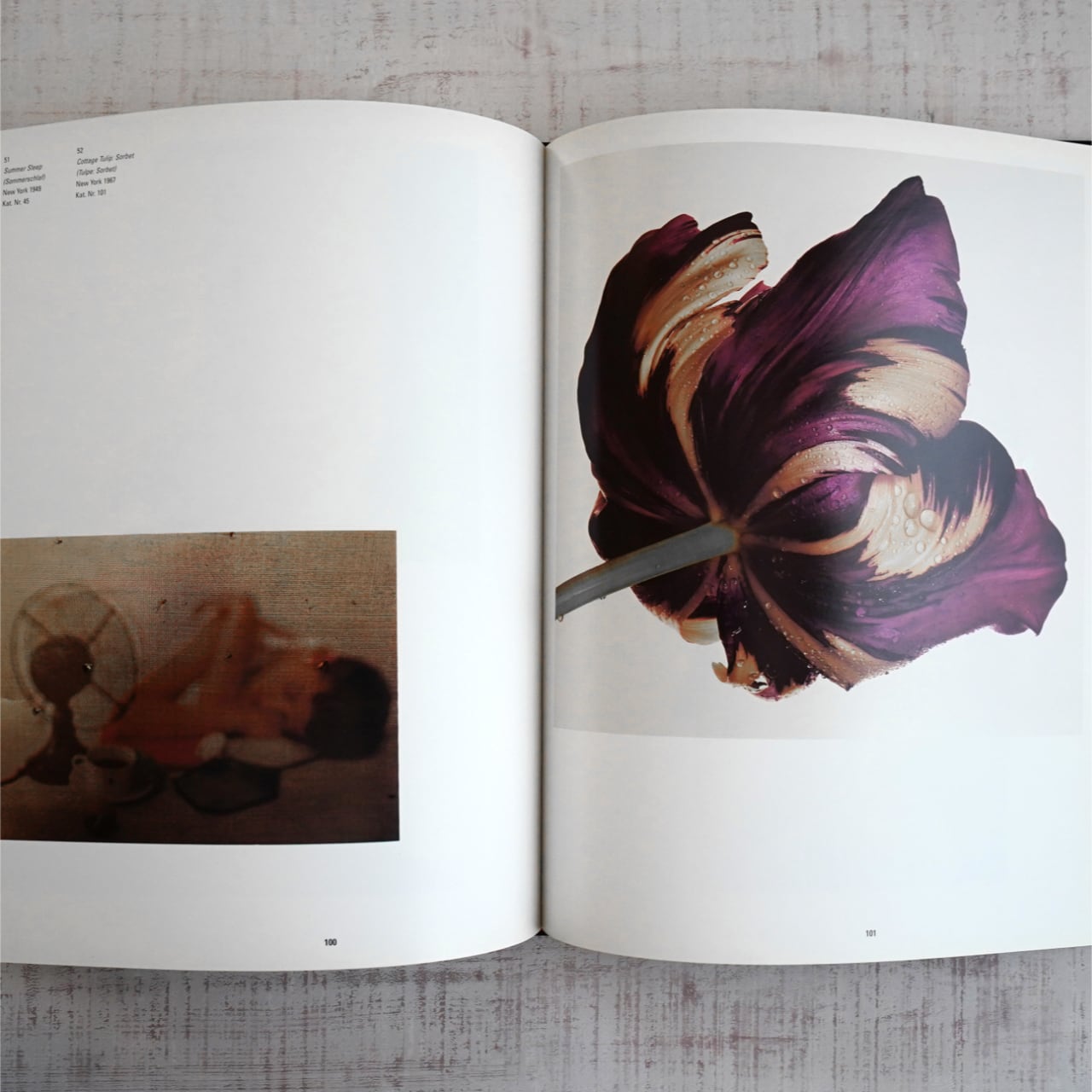 Irving Penn : Eine Retrospektive ドイツ語版 | タイムカプセル