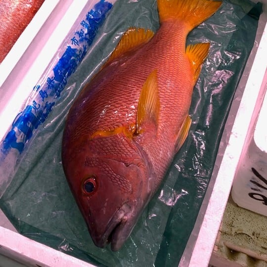 ec044f9c13524e5e80e14e049bd3ee