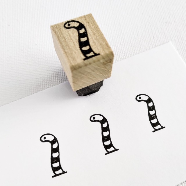 しましまニシキアナゴ②