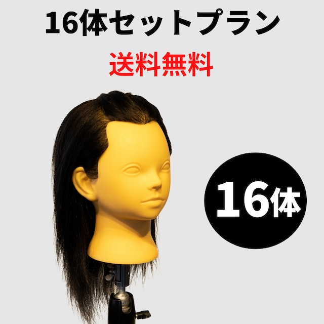 メンズマスター(メンズ用カットウィッグ)【1体~15体まで】人毛100