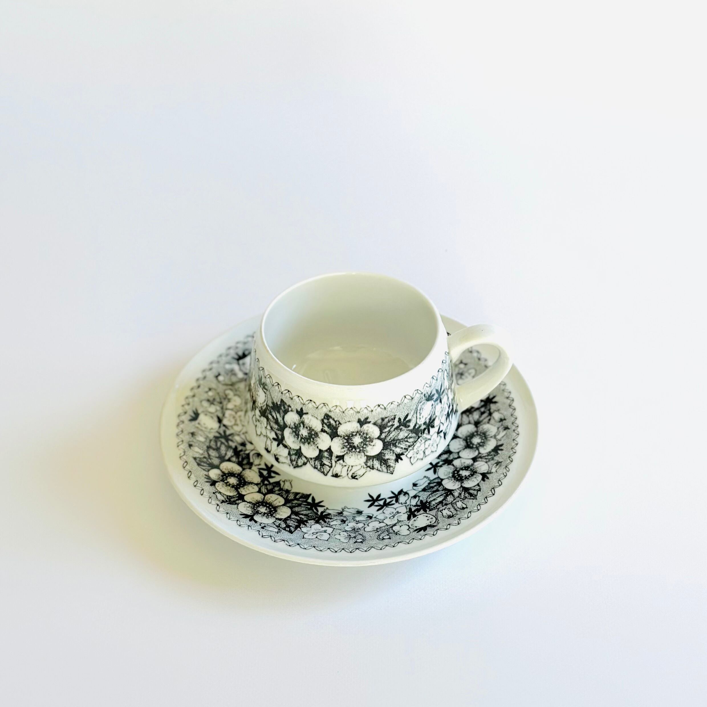 アラビア タルヴィッキ カップ&ソーサー / ARABIA Talvikki C&S