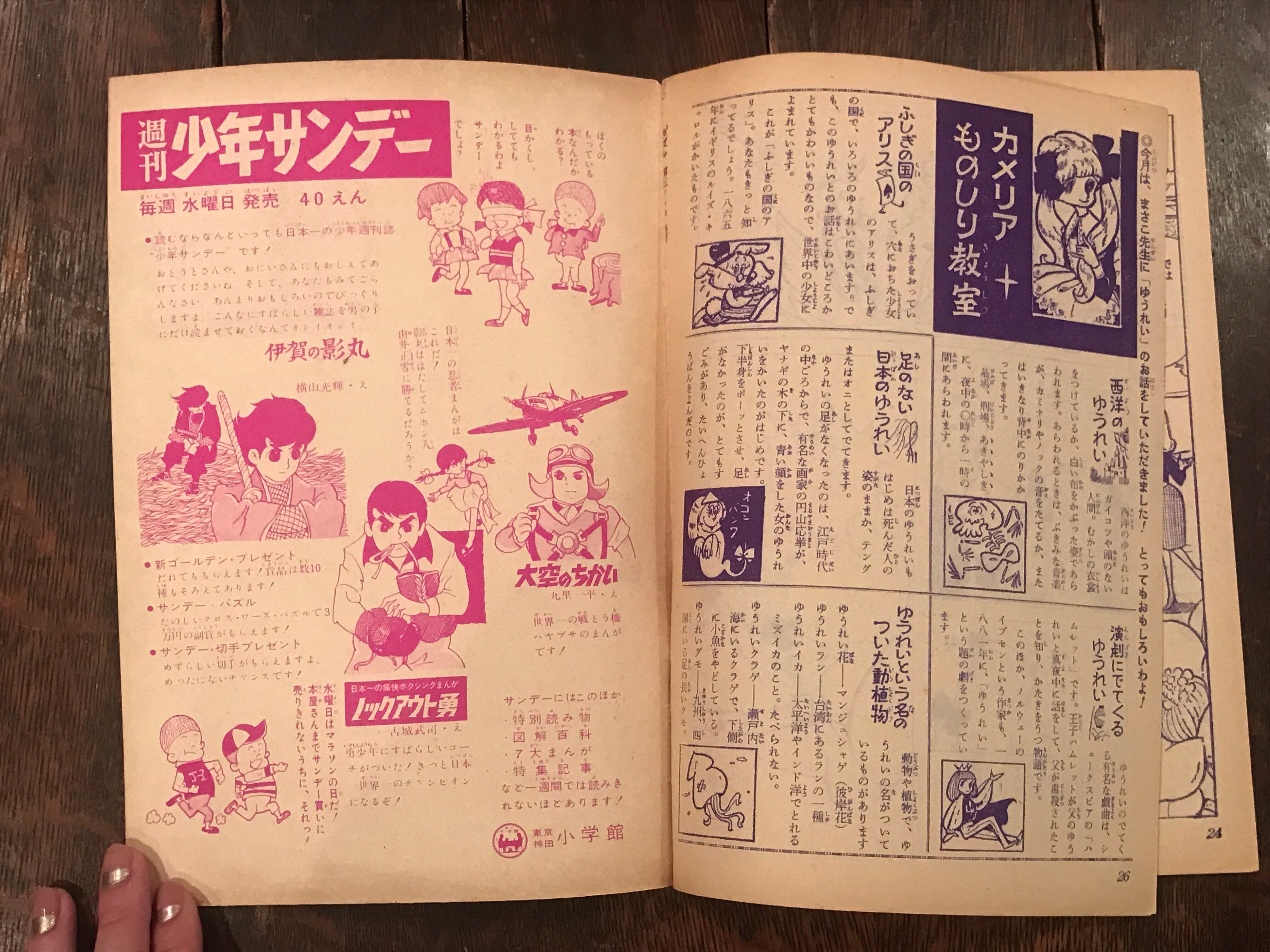 昭和38年りぼん3月号ふろく5「カメリア館」 / わたなべまさこ | Pay ID
