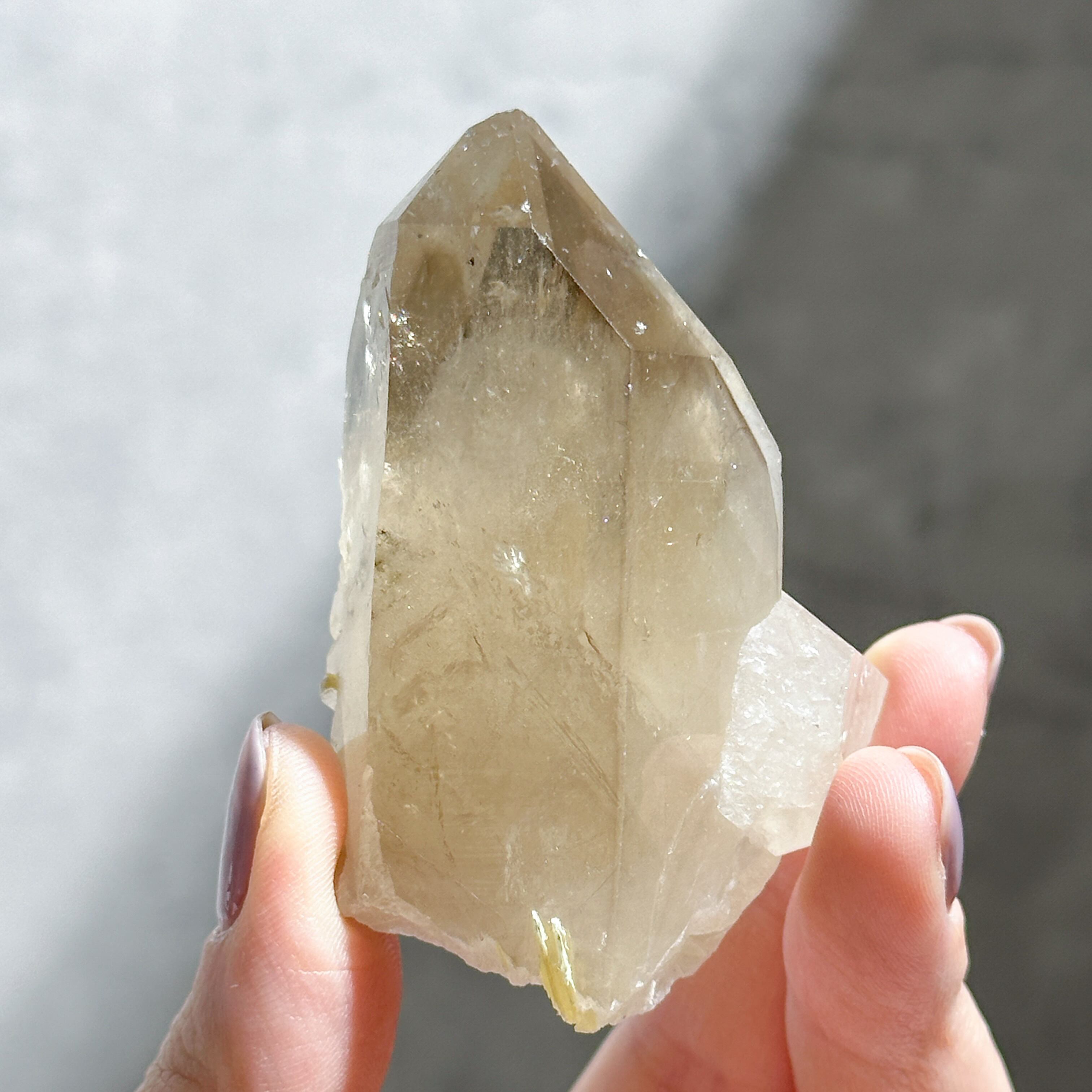 特価　シトリンクラスター　17 特価シトリンクラスター17