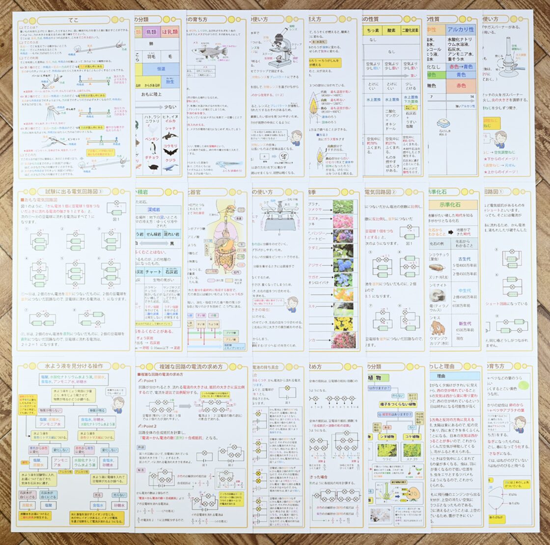 中学受験・理科 頻出用語・ポイントにしぼったまとめカード | PAY ID