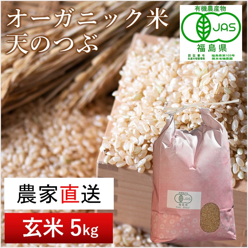 JAS有機米 コシヒカリ（玄米）5kg | 根本有機農園