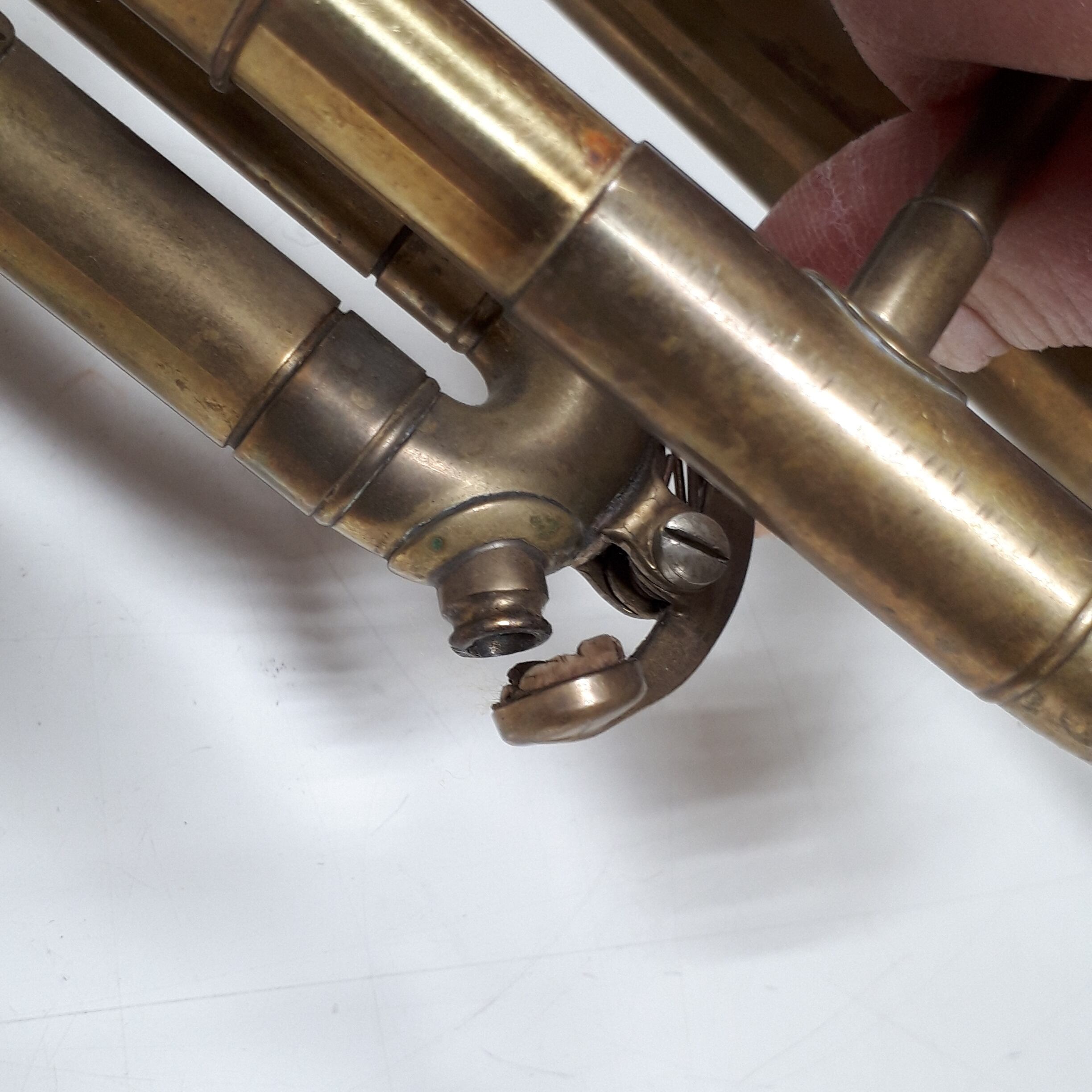 トランペット Tp 1909kw04 | BRITISH FAN