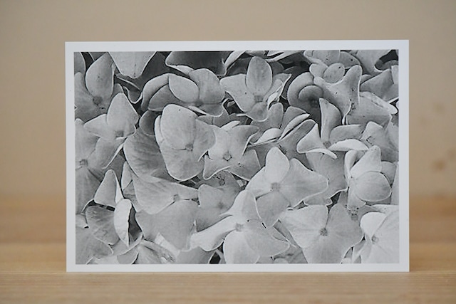 ... 新規掲載準備中 ...