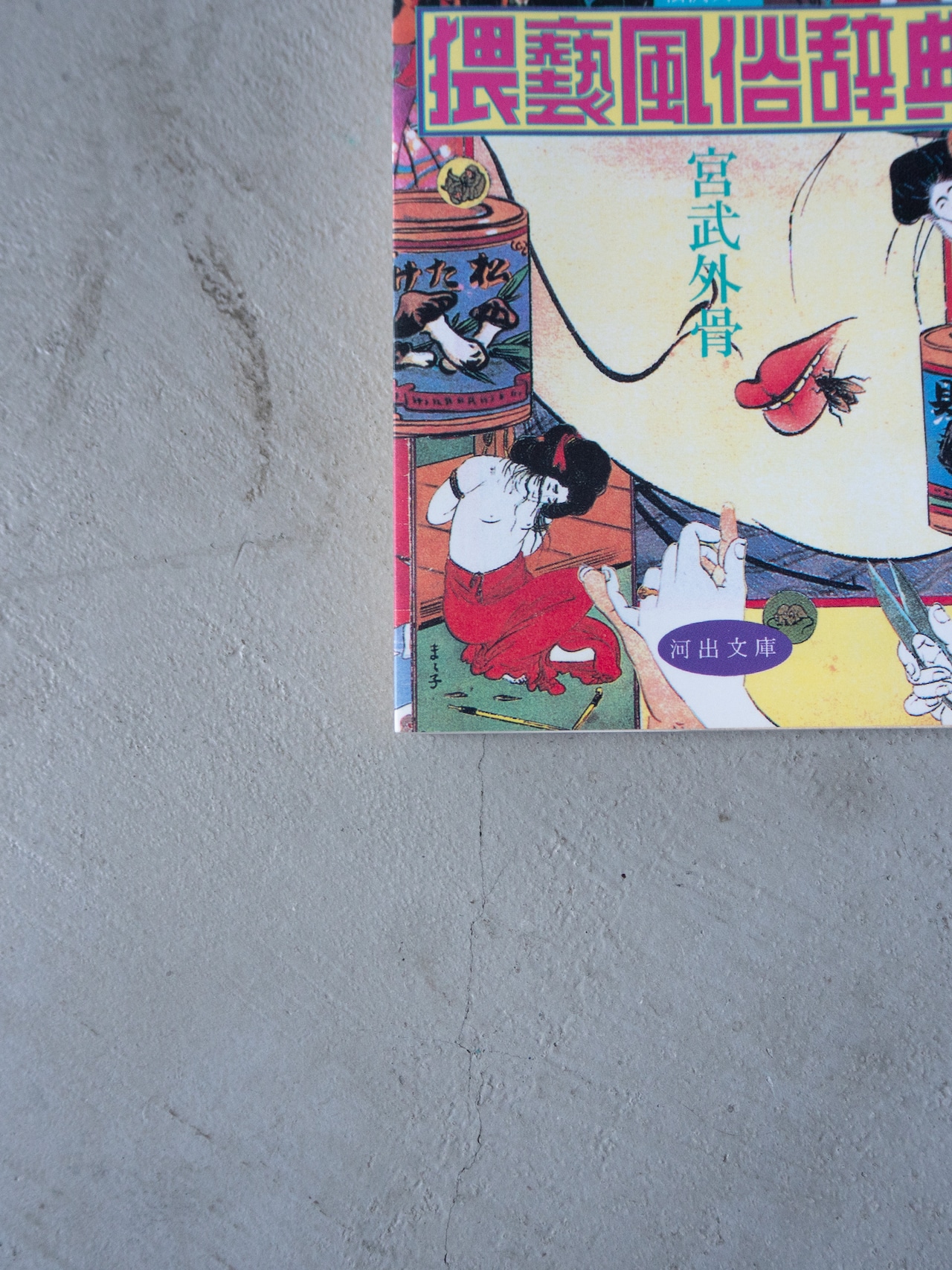 "猥褻風俗辞典" vintage Book