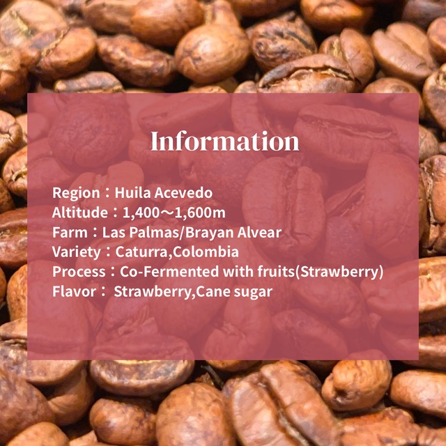 【コロンビア】Juicy Strawberry｜Light roast