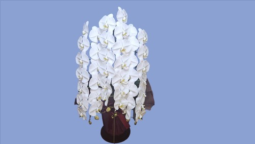 3本立て　42輪-45輪