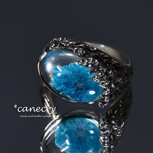 カバンサイトのリング