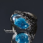 カバンサイトのリング