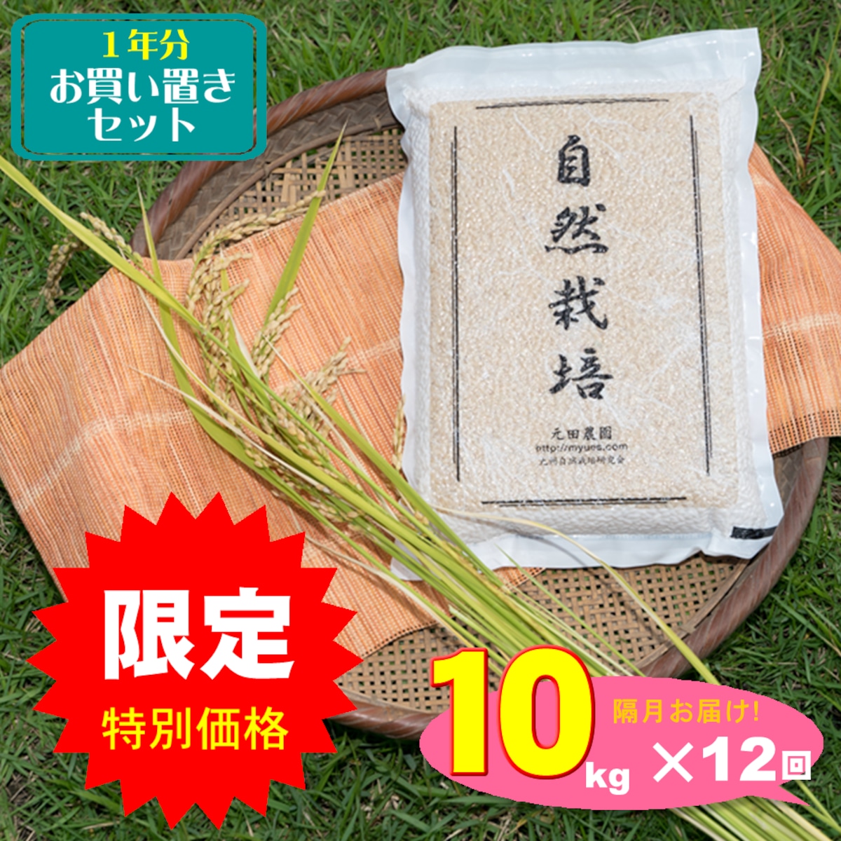 Lily様　旭一号米 10kg 2025年産 Lily様旭一号米 10kg 2025年産