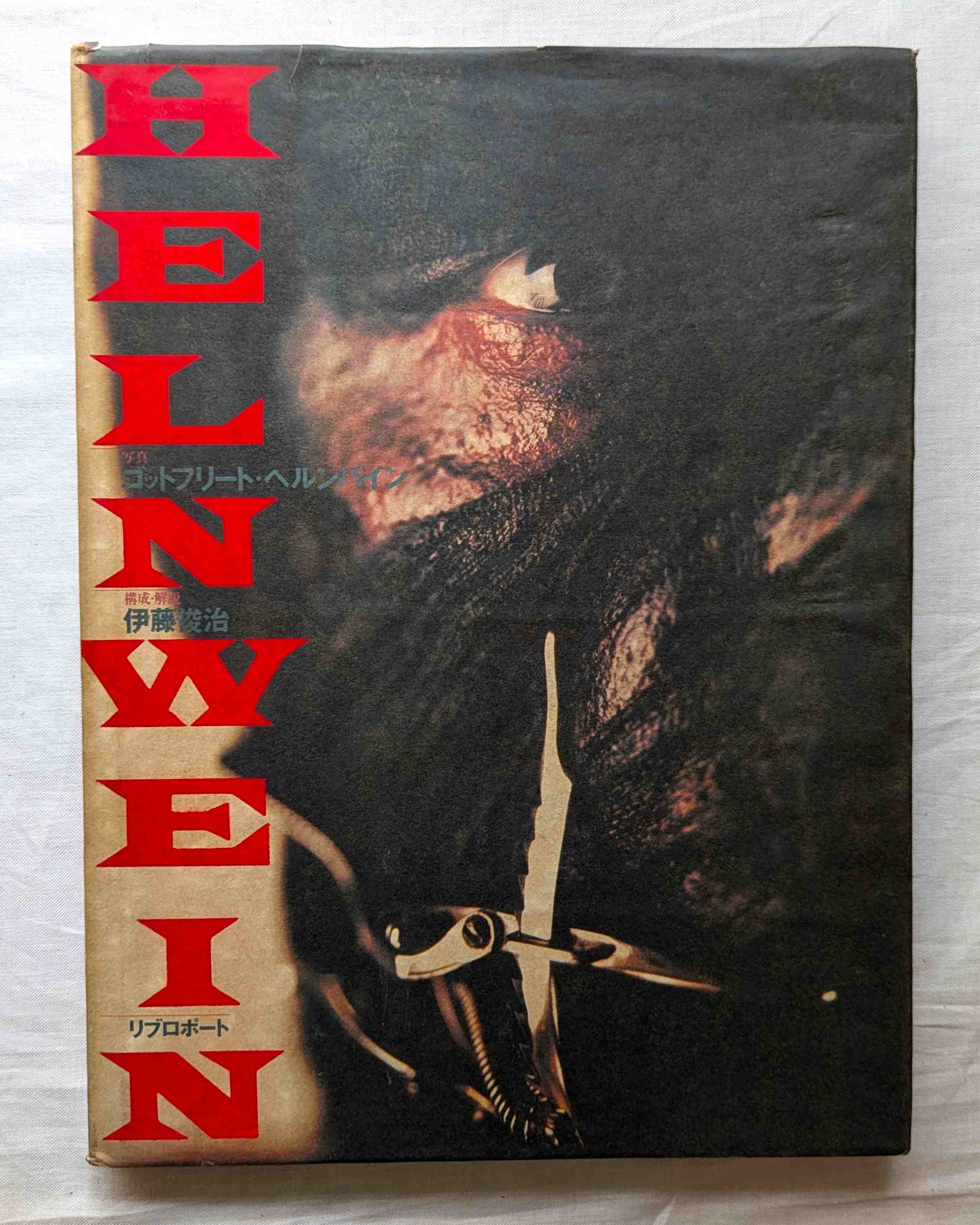 ゴットフリート・ヘルンヴァイン 写真集 Gottfried Helnwein 絵画  