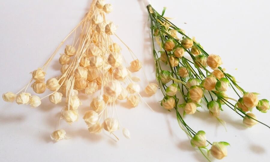 花材 プリザーブドフラワー リンフラワー ハーバリウム通販 資材販売のloabel ロアベル オンラインショップ