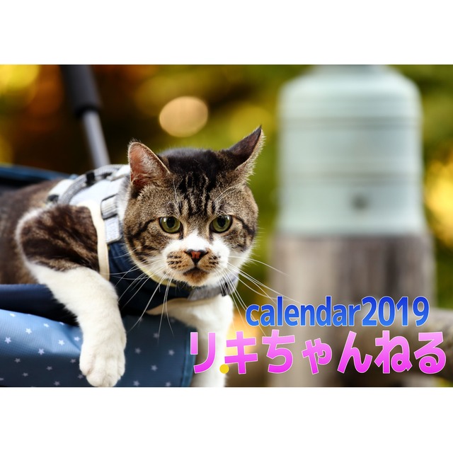 【送料無料】2019年　 リキちゃんねる　壁掛けカレンダー