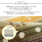トルコ製ギャッベ風ウィルトン織カーペット - 276,000ノットの柔らかポリエステル素材