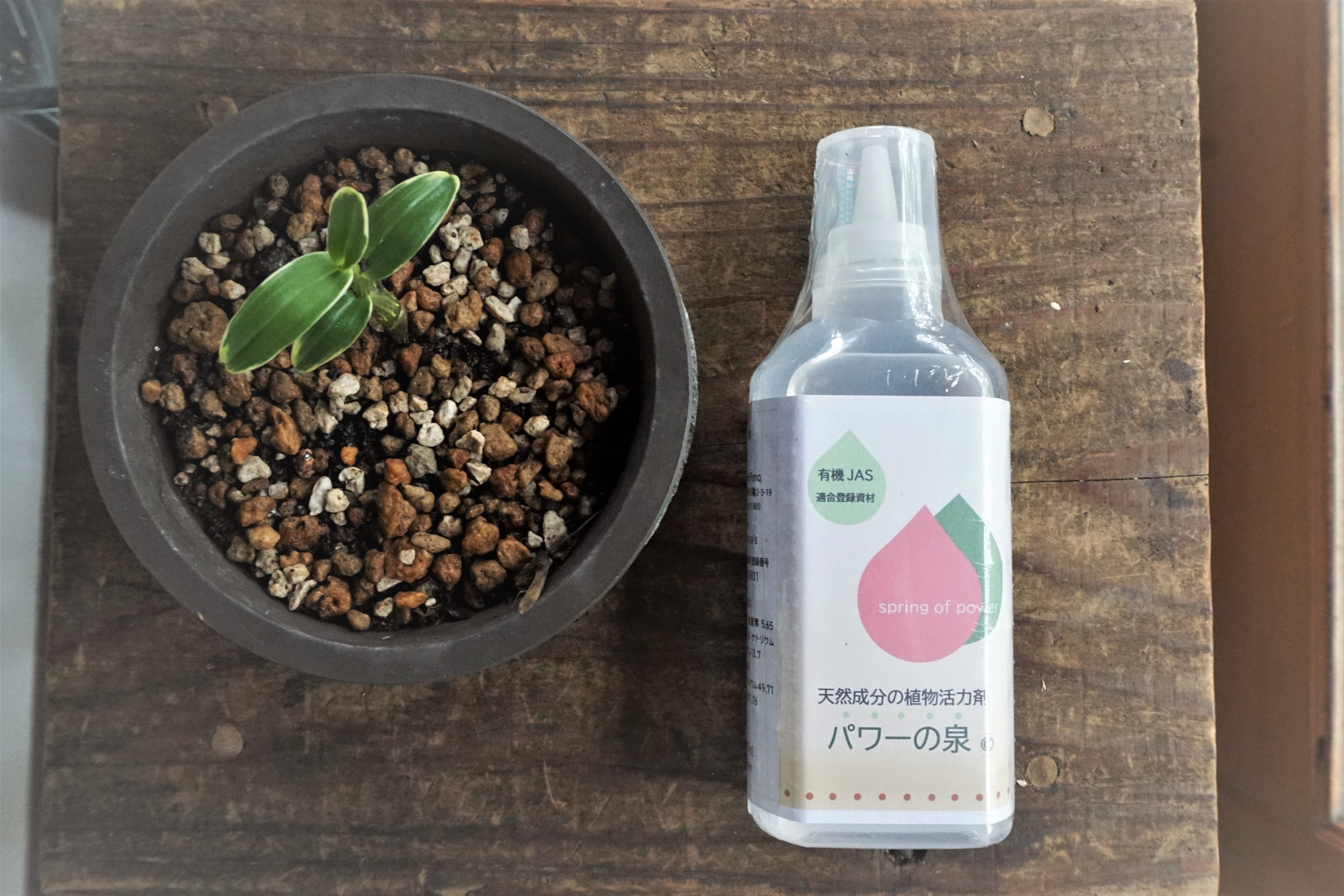 植物活力剤 パワーの泉 Donqｰponq