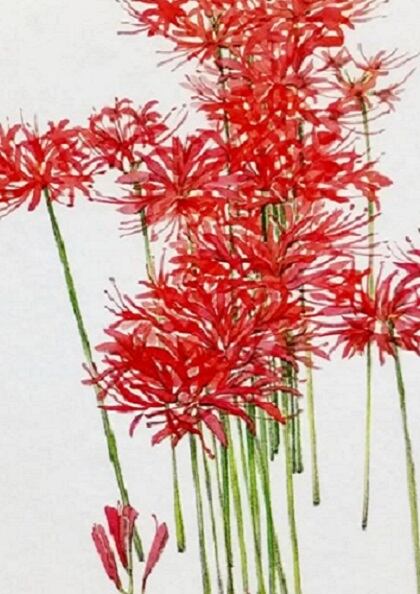 ec23de2a0c7d1607271bab66296021