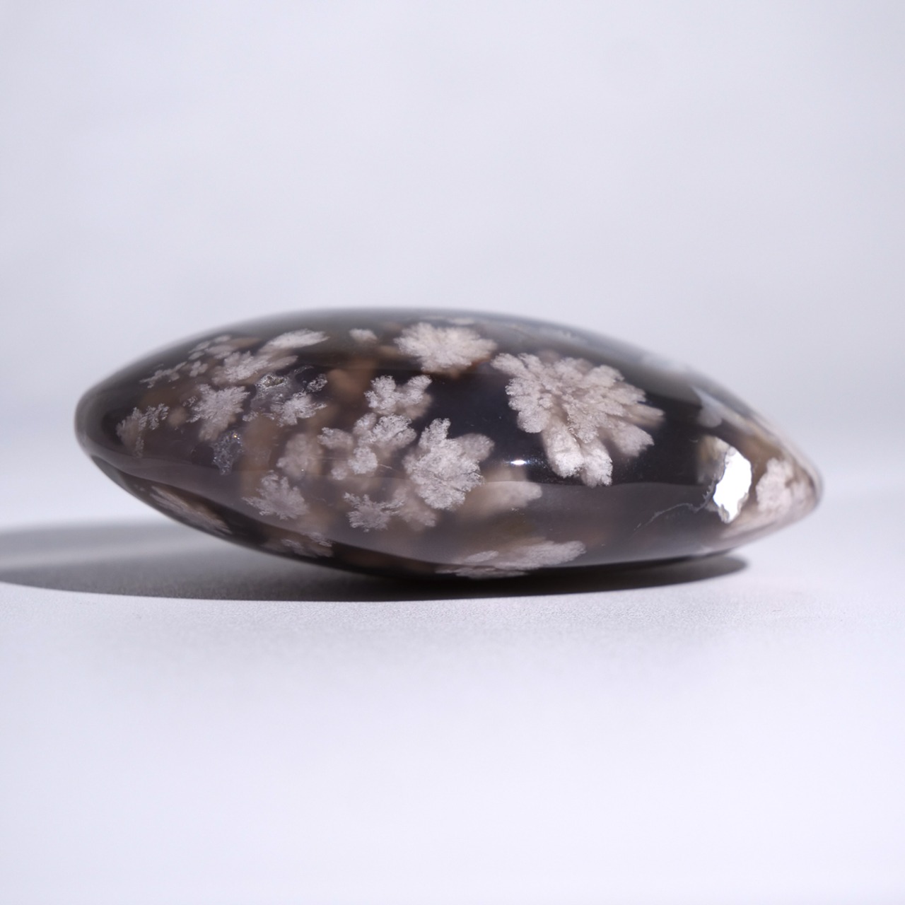 ブラック フラワーアゲート / パーム 握り石