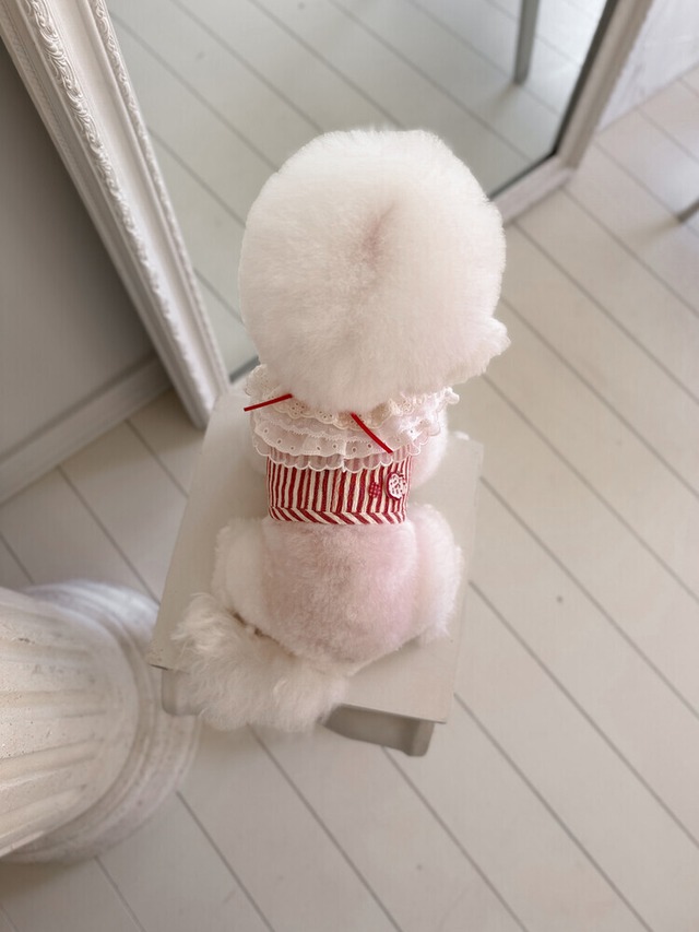 〈即納アイテム〉SICGGU / レッドアップルクーリングハーネス