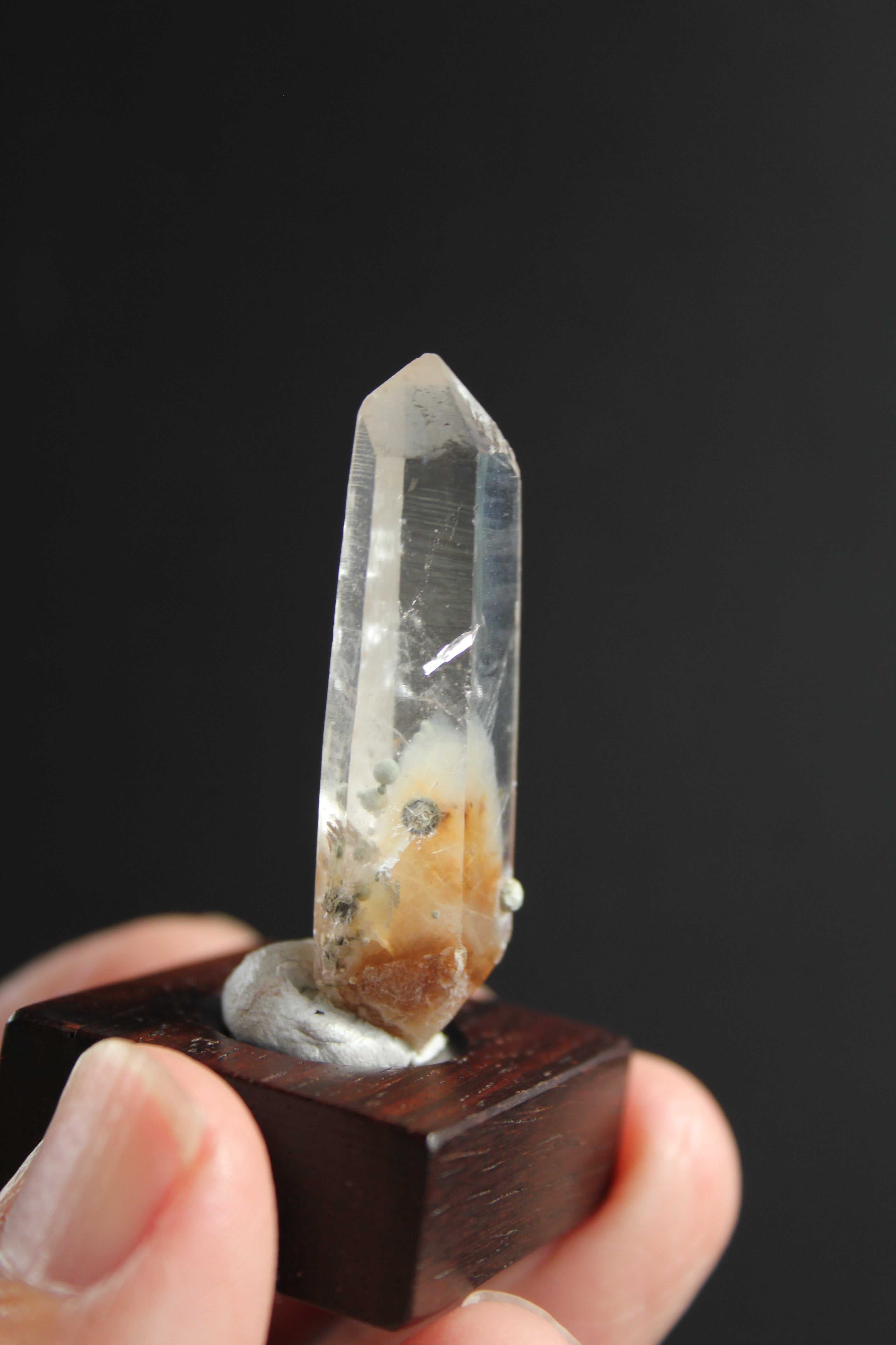 【342002】大分クリスタルまりも ローズウッドベース小