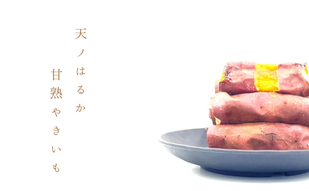 ec33d794e74e66c25f0518c8c96956