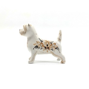 From【B】Cairn terrier